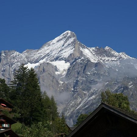 Apartment Baereggblick - Griwa Rent Ag Grindelwald Luaran gambar